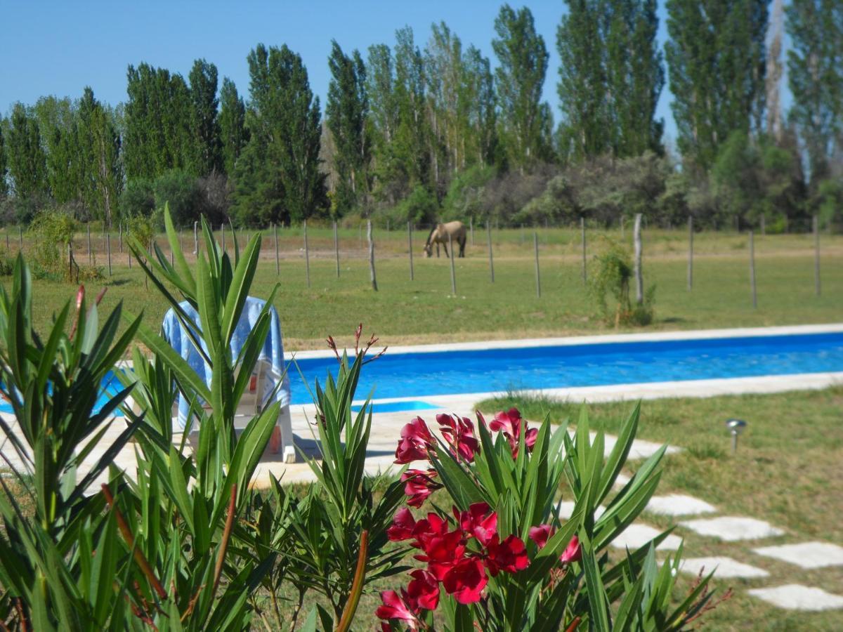 Casa De Campo Las Olivas San Rafael  Exterior photo